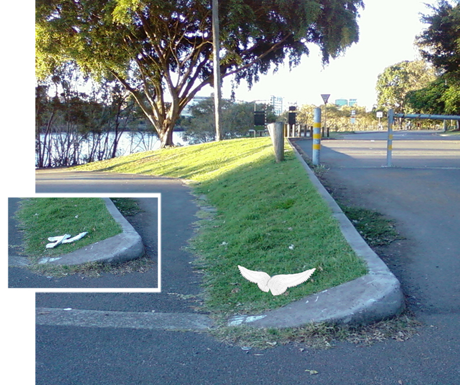 Walking along the riverside I see a large pair of white glowing wings in the distance: beautiful. I understand there are not real. As I get up close I notice what they are in reality - are pair of discarded socks. (image 2011)