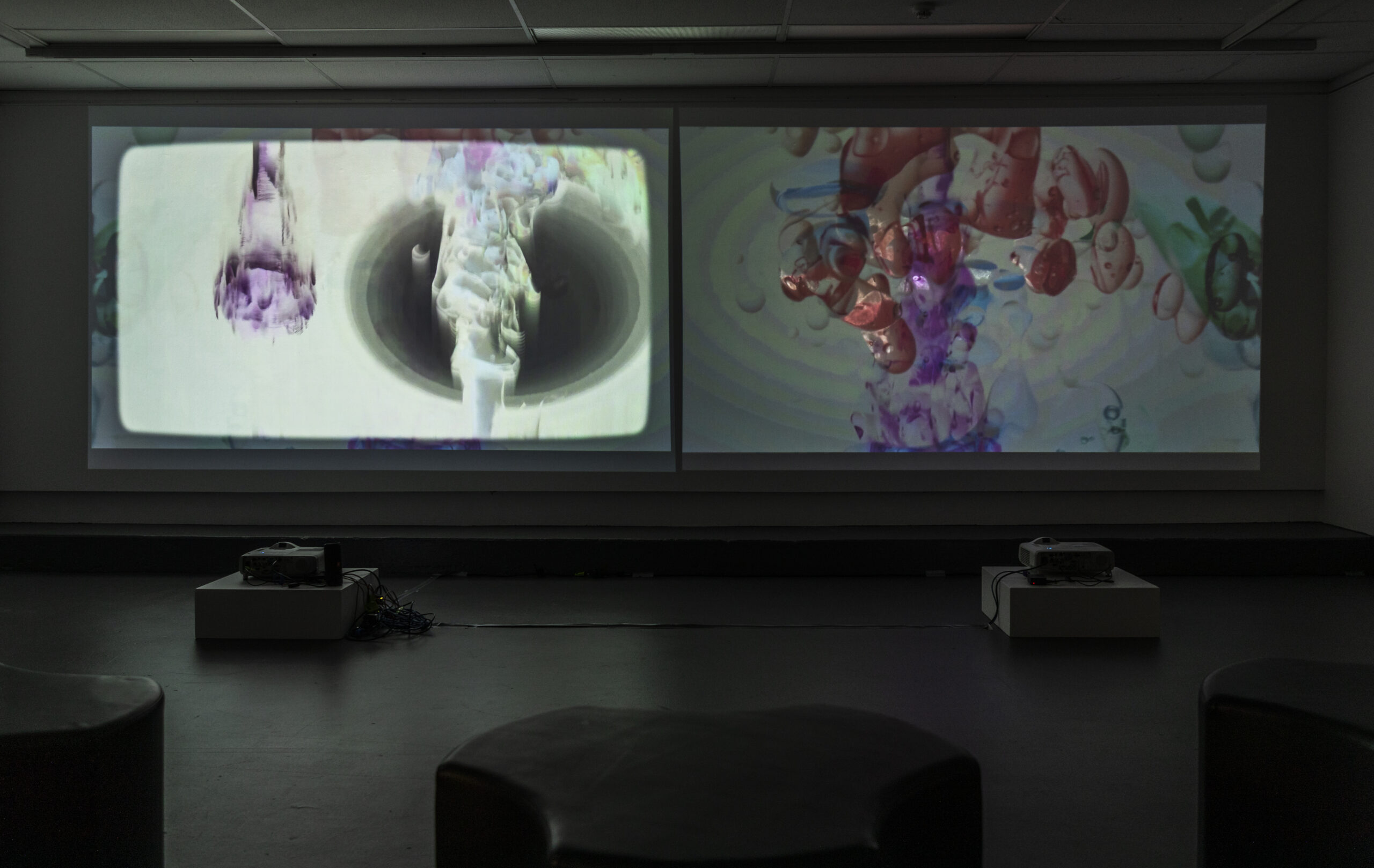 Lava Like Video at the Visions of Charles Bonnet Exhibition, Project Gallery, Queensland College of Art Griffith University