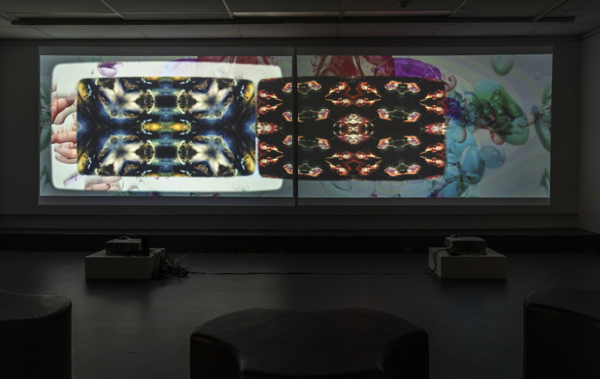 Lava Like Video at the Visions of Charles Bonnet Exhibition, Project Gallery, Queensland College of Art Griffith University