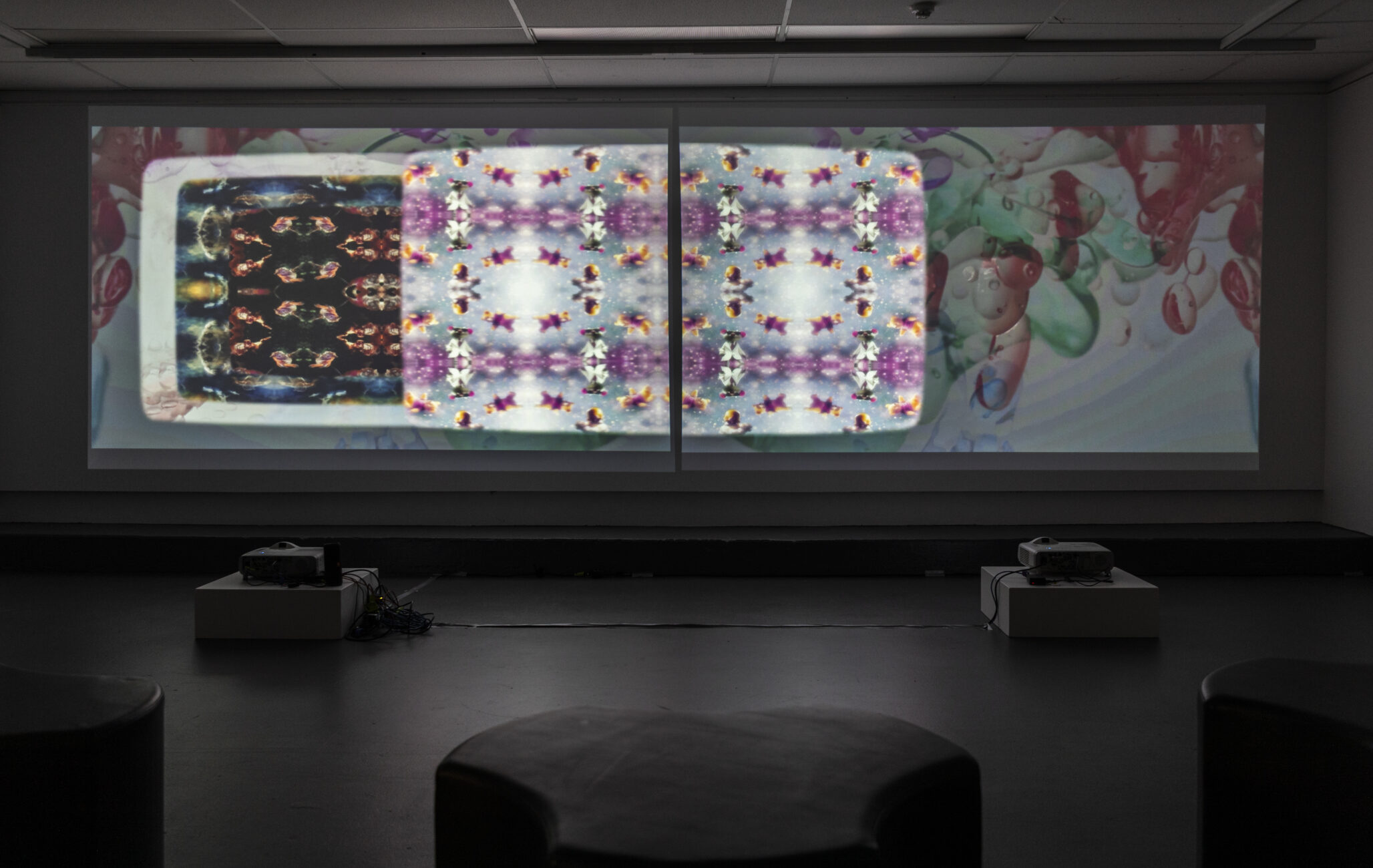 Lava Like Video at the Visions of Charles Bonnet Exhibition, Project Gallery, Queensland College of Art Griffith University