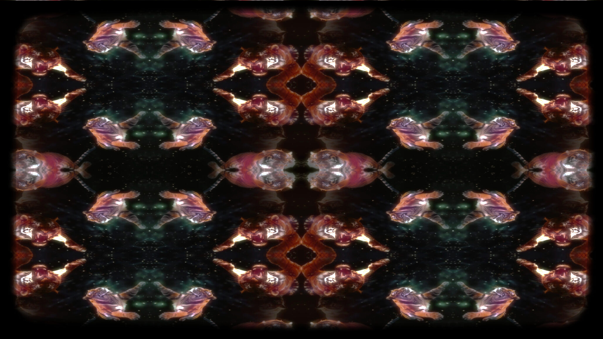 Link to Participant thirty-three's private page.A kaleidoscope of tigers floating in space. The tigers appear so real you can see the lines on the fur and the teeth in their open jaws. of a kaleidoscope of tigers floating in space. The tigers appear so real you can see the lines on the fur and the teeth in their open jaws.