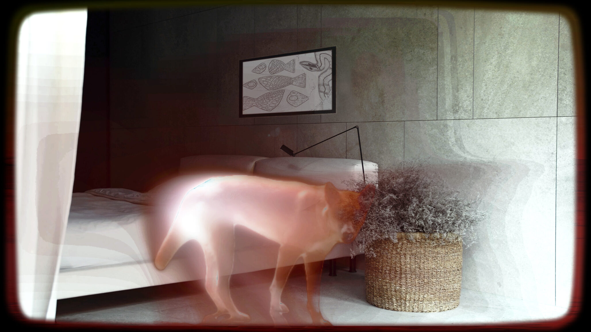 Link to Participant thirty-nine's private page. A picture of a pure dingo with her ears pricked up. She stood, in my bedroom, with her gaze looking through me. Then she vanished into nothingness—this beauty, a true embodiment of nature.